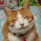 とうふ